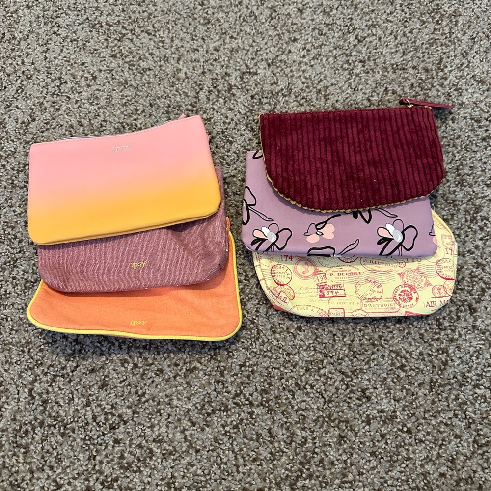 Ipsy Makeup/Travel Bags